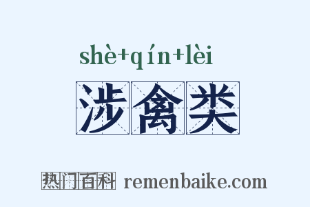 涉禽类是什么意思的图片